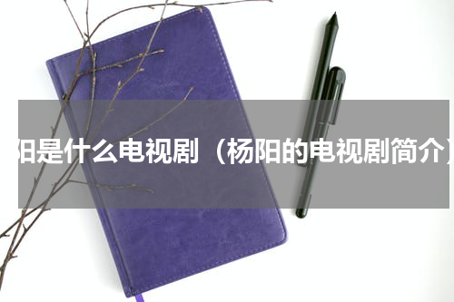 杨阳是什么电视剧（杨阳的电视剧简介）