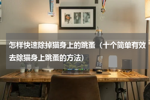怎样快速除掉猫身上的跳蚤（十个简单有效去除猫身上跳蚤的方法）