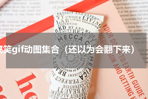 搞笑gif动图集合（还以为会翻下来）