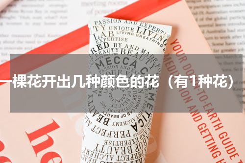 一棵花开出几种颜色的花（有1种花）