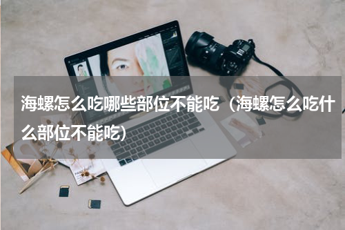 海螺怎么吃哪些部位不能吃（海螺怎么吃什么部位不能吃）