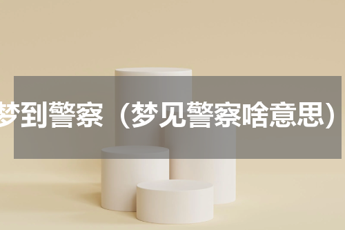梦到警察（梦见警察啥意思）