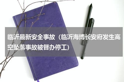临沂最新安全事故（临沂海博长安府发生高空坠落事故被督办停工）
