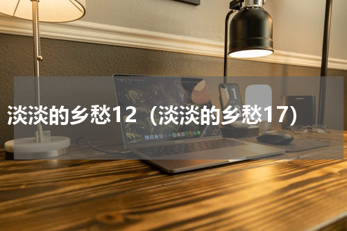 淡淡的乡愁12（淡淡的乡愁17）