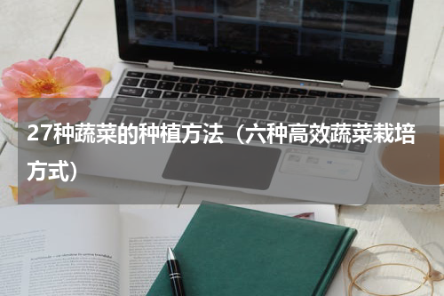 27种蔬菜的种植方法（六种高效蔬菜栽培方式）
