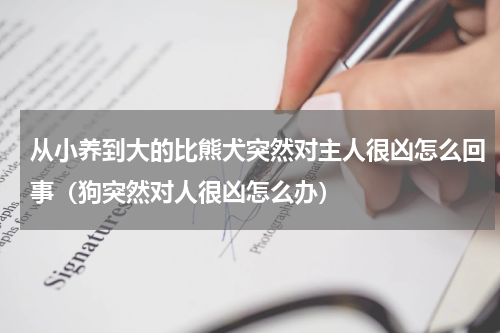 从小养到大的比熊犬突然对主人很凶怎么回事（狗突然对人很凶怎么办）