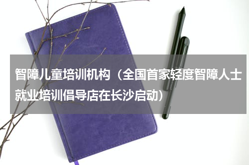 智障儿童培训机构（全国首家轻度智障人士就业培训倡导店在长沙启动）
