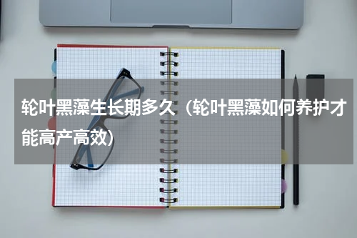 轮叶黑藻生长期多久（轮叶黑藻如何养护才能高产高效）