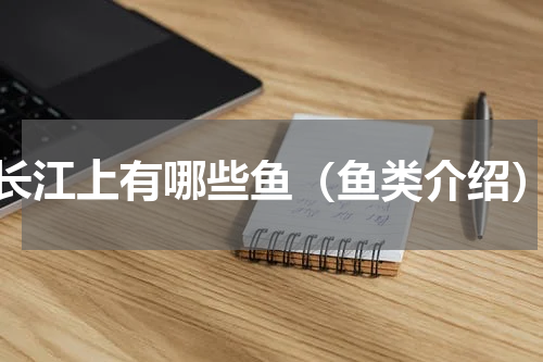 长江上有哪些鱼（鱼类介绍）