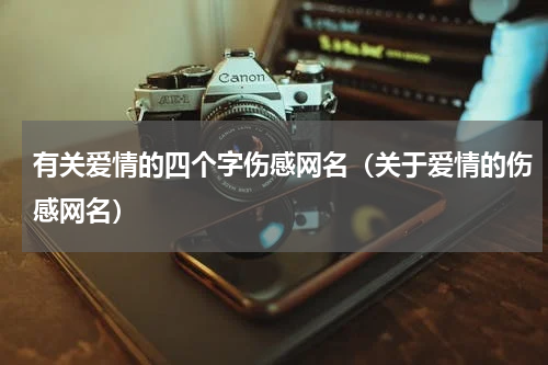有关爱情的四个字伤感网名（关于爱情的伤感网名）