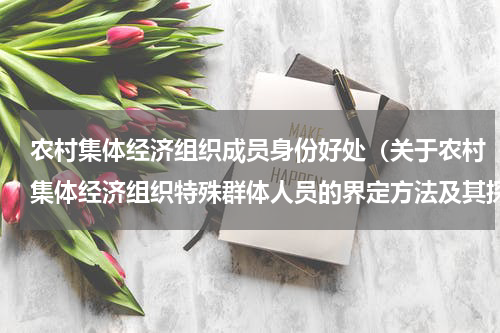 农村集体经济组织成员身份好处（关于农村集体经济组织特殊群体人员的界定方法及其探索实践）