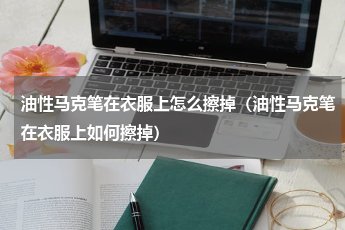 油性马克笔在衣服上怎么擦掉（油性马克笔在衣服上如何擦掉）