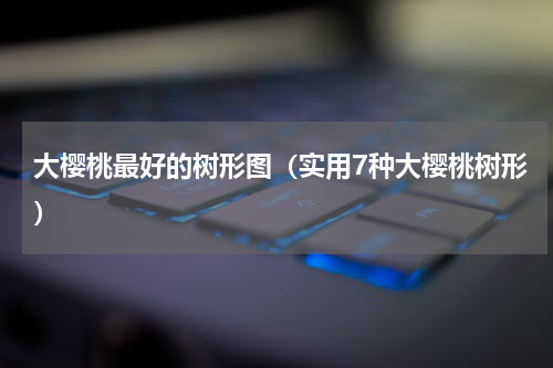 大樱桃最好的树形图（实用7种大樱桃树形）