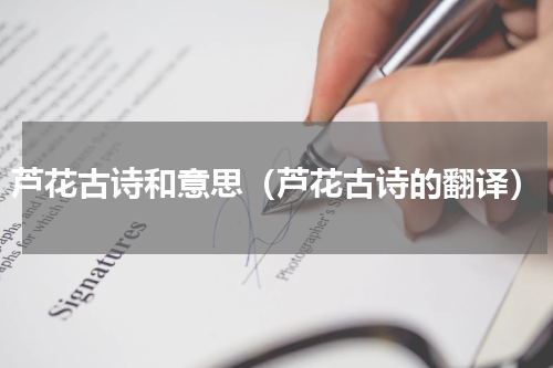芦花古诗和意思（芦花古诗的翻译）