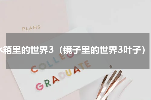 冰箱里的世界3（镜子里的世界3叶子）
