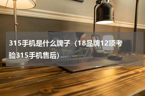 315手机是什么牌子（18品牌12项考验315手机售后）