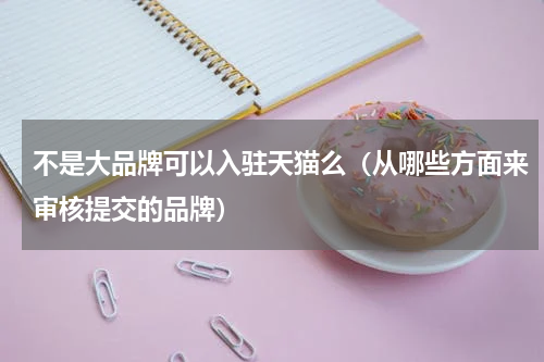 不是大品牌可以入驻天猫么（从哪些方面来审核提交的品牌）