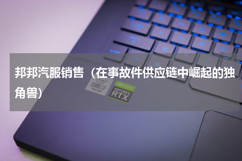 邦邦汽服销售（在事故件供应链中崛起的独角兽）
