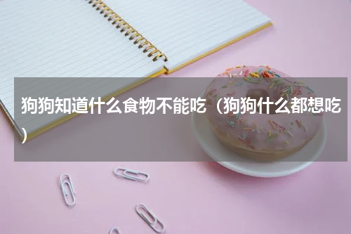 狗狗知道什么食物不能吃（狗狗什么都想吃）