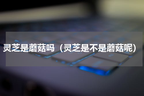 灵芝是蘑菇吗（灵芝是不是蘑菇呢）