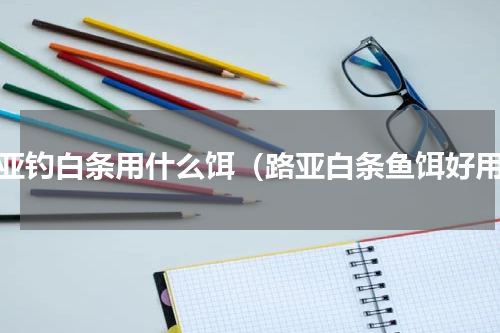 路亚钓白条用什么饵（路亚白条鱼饵好用）