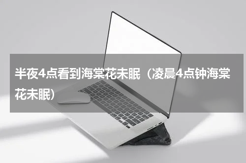 半夜4点看到海棠花未眠（凌晨4点钟海棠花未眠）