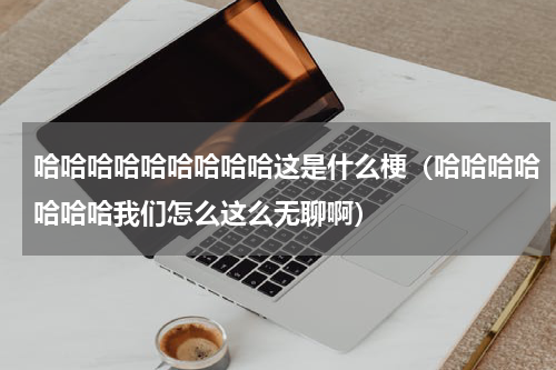 哈哈哈哈哈哈哈哈哈这是什么梗（哈哈哈哈哈哈哈我们怎么这么无聊啊）