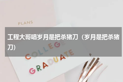 工程大哥唱岁月是把杀猪刀（岁月是把杀猪刀）