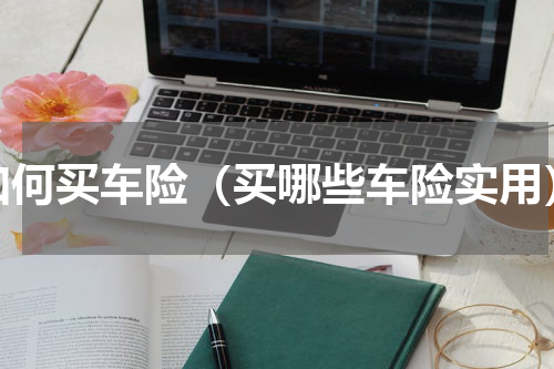 如何买车险（买哪些车险实用）