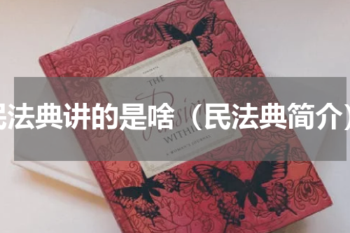 民法典讲的是啥（民法典简介）