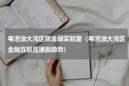 粤港澳大湾区碳金融实验室（粤港澳大湾区金融互联互通新趋势）