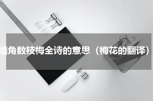 墙角数枝梅全诗的意思（梅花的翻译）