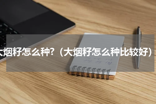 大烟籽怎么种?（大烟籽怎么种比较好）