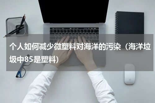 个人如何减少微塑料对海洋的污染（海洋垃圾中85是塑料）