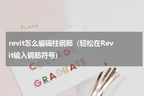 revit怎么编辑柱钢筋（轻松在Revit输入钢筋符号）