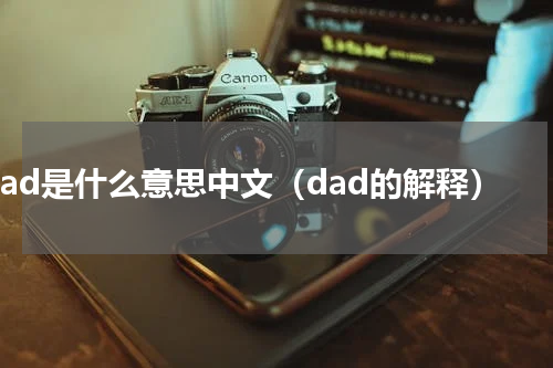 dad是什么意思中文（dad的解释）
