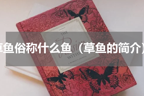 草鱼俗称什么鱼（草鱼的简介）
