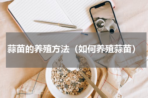 蒜苗的养殖方法（如何养殖蒜苗）