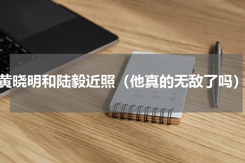 黄晓明和陆毅近照（他真的无敌了吗）