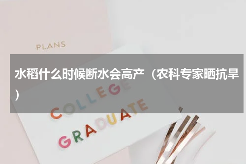 水稻什么时候断水会高产（农科专家晒抗旱）