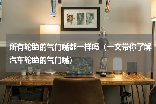 所有轮胎的气门嘴都一样吗（一文带你了解汽车轮胎的气门嘴）