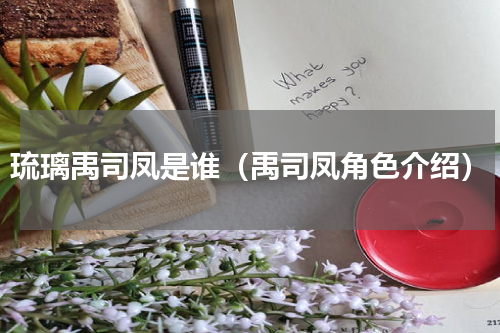 琉璃禹司凤是谁（禹司凤角色介绍）