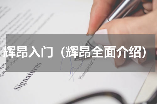 辉昂入门（辉昂全面介绍）
