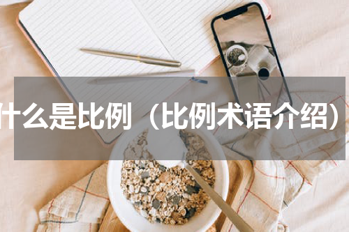 什么是比例（比例术语介绍）