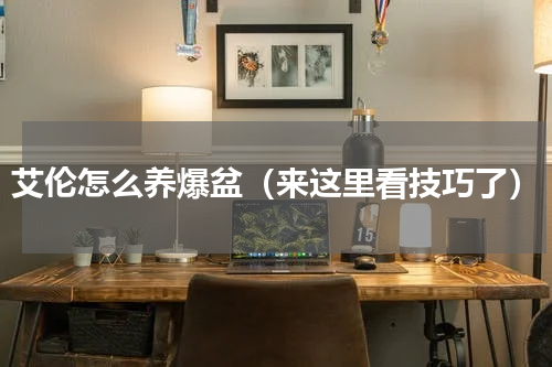 艾伦怎么养爆盆（来这里看技巧了）