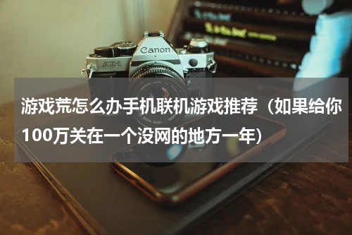 游戏荒怎么办手机联机游戏推荐（如果给你100万关在一个没网的地方一年）