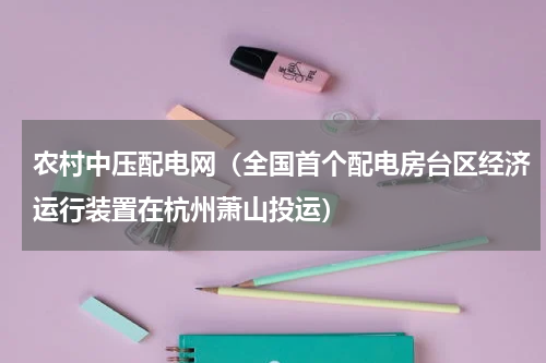 农村中压配电网（全国首个配电房台区经济运行装置在杭州萧山投运）