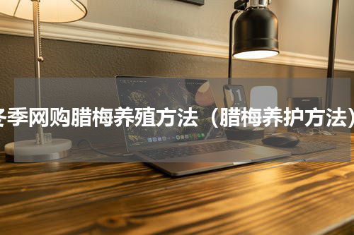 冬季网购腊梅养殖方法（腊梅养护方法）
