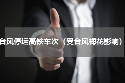 台风停运高铁车次（受台风梅花影响）