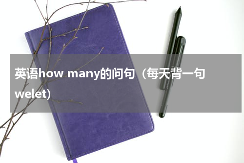 英语how many的问句（每天背一句welet）